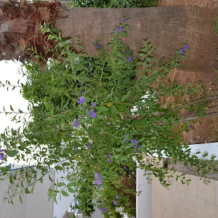 Aparthotel Karavos Archangelos (Rhodes)