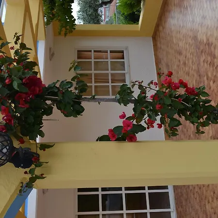 Karavos Aparthotel Archangelos (Rhodes)